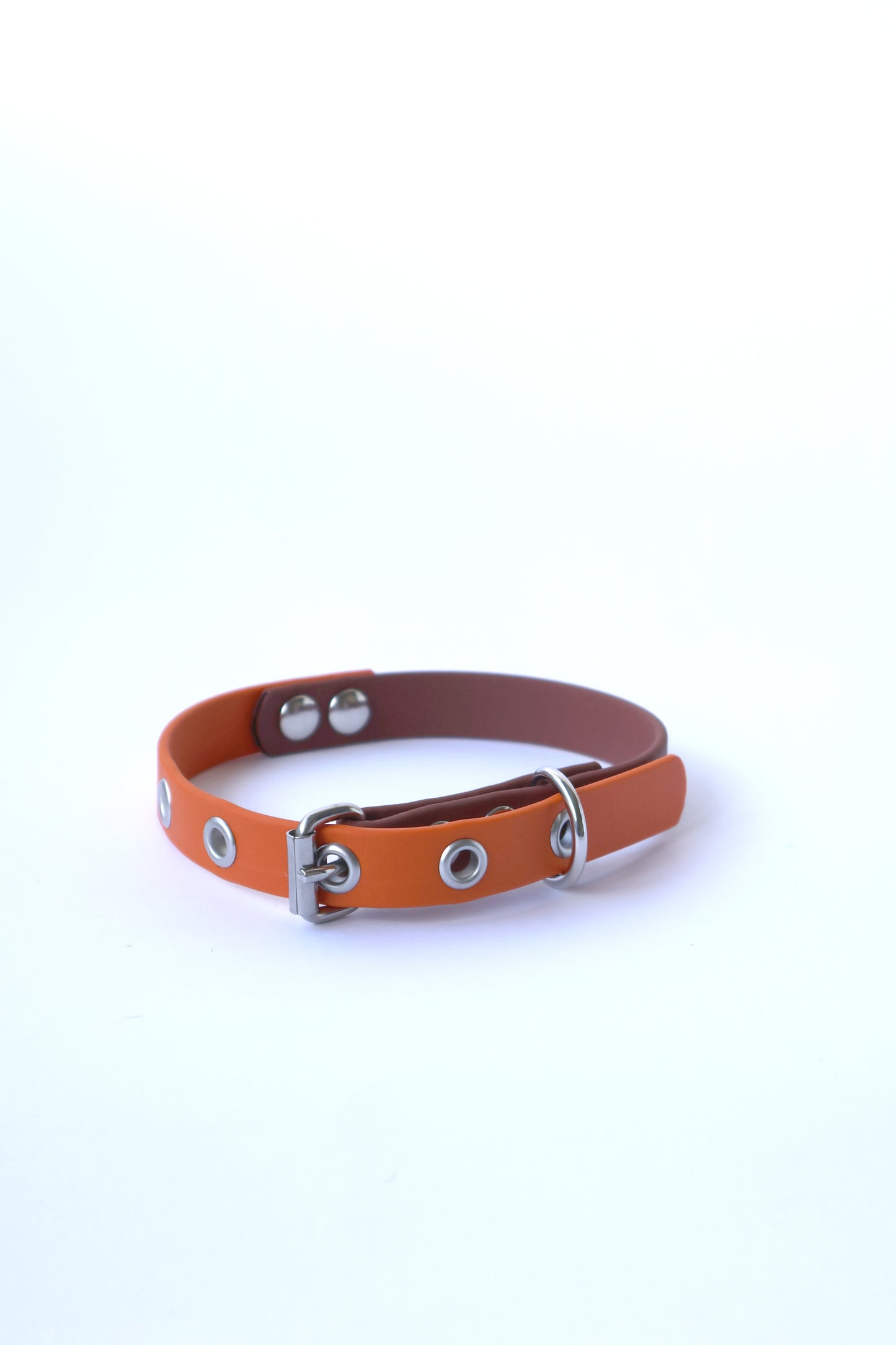 Coleira laranja/castanho - XS - 1,5cm