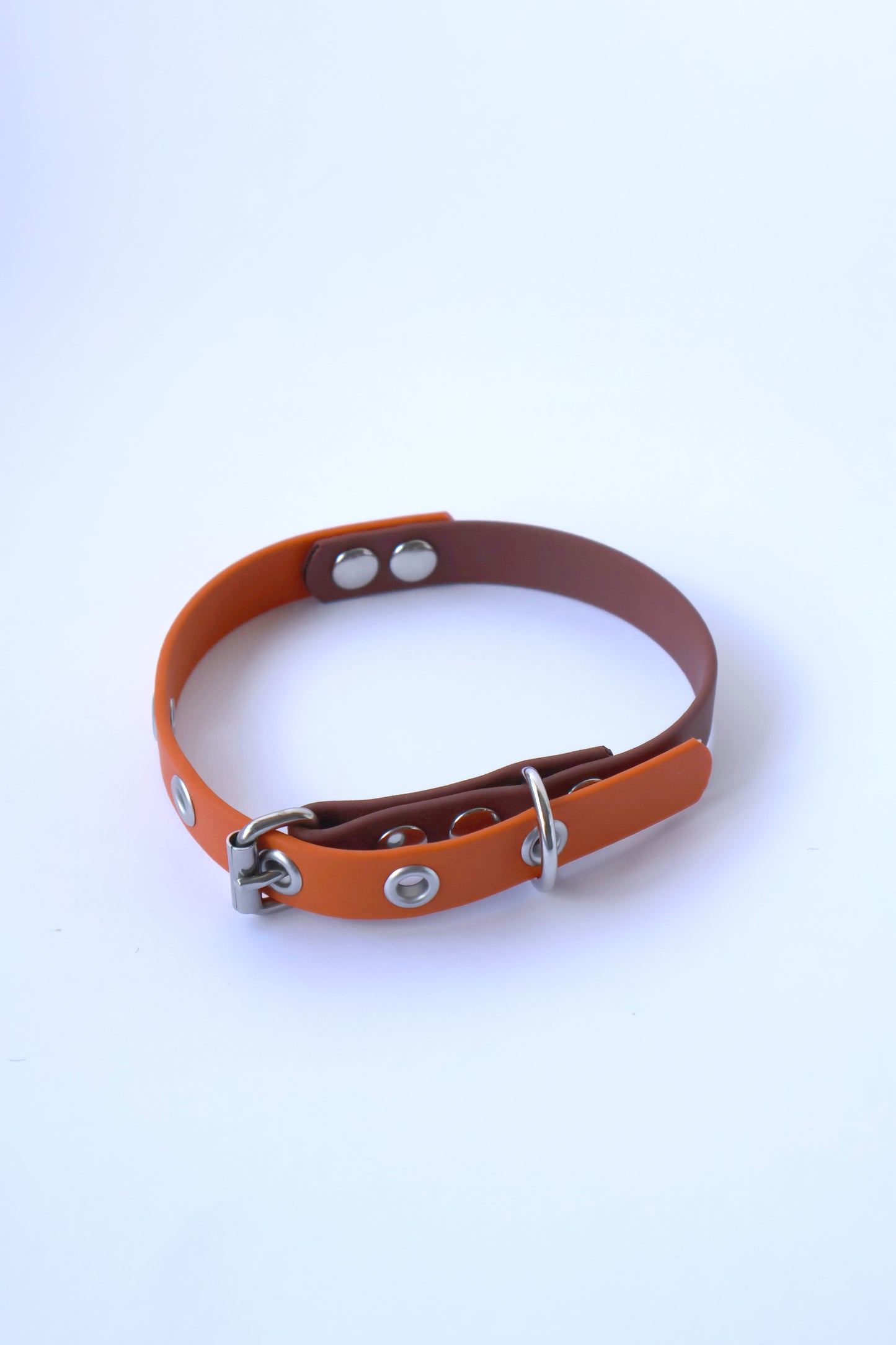 Coleira laranja/castanho - XS - 1,5cm