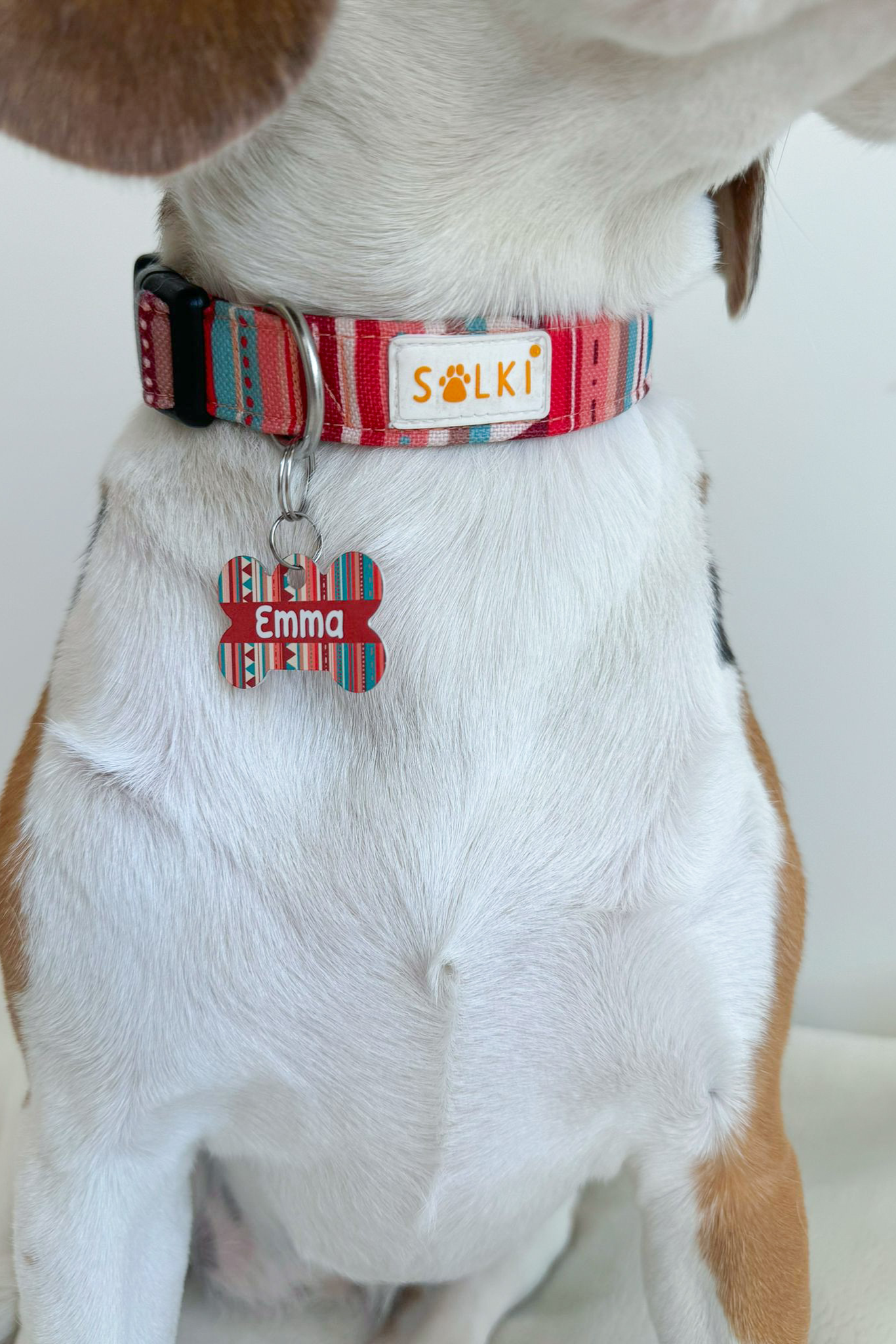ID tag - Padrões Solki
