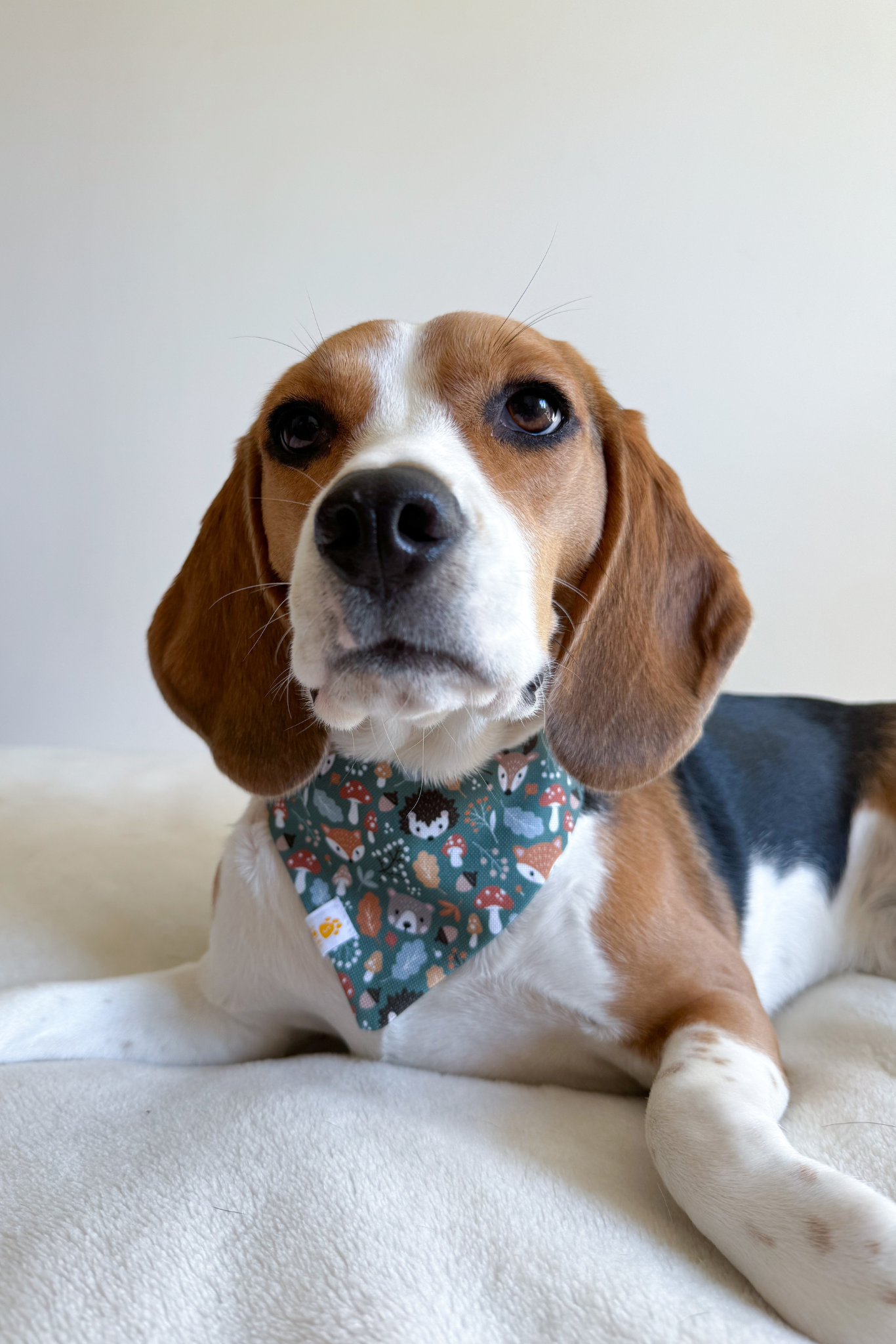 Bandanas