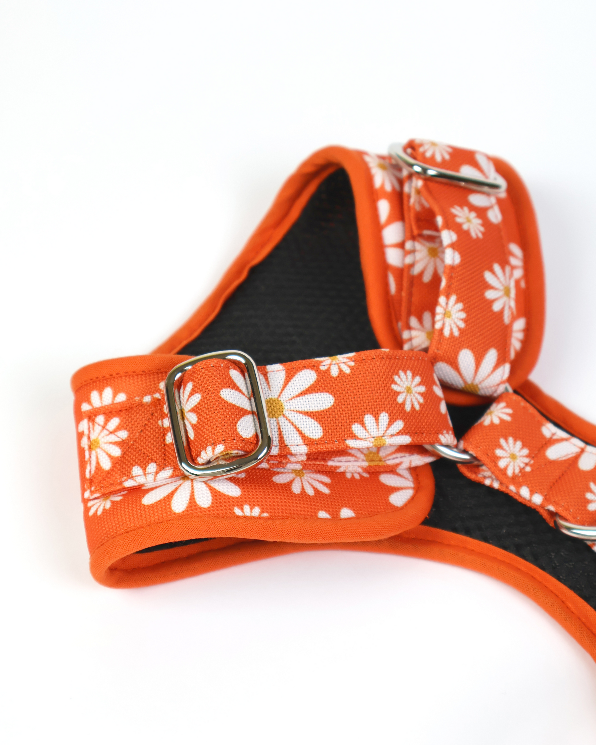 Harnesses