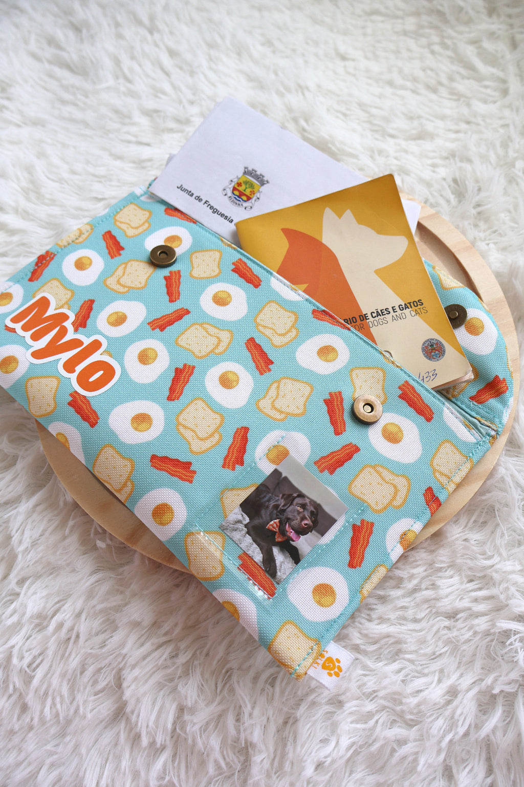 Document holder