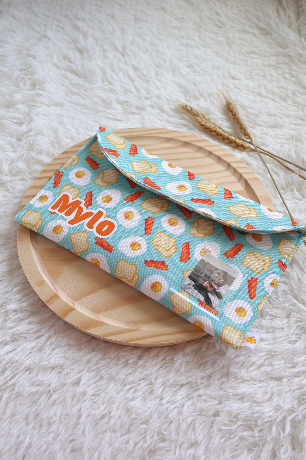 Document holder