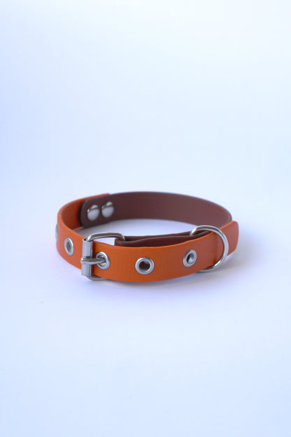 Coleira laranja/castanho - XS - 2cm