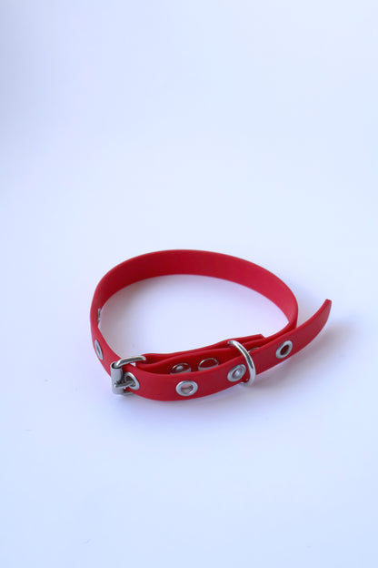 Coleira Vermelho - XS - 1,5cm