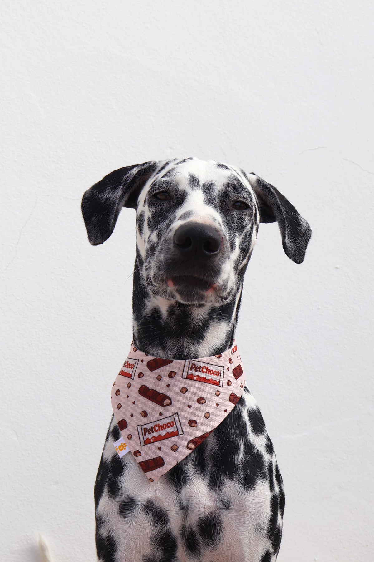 Bandana - Kinder