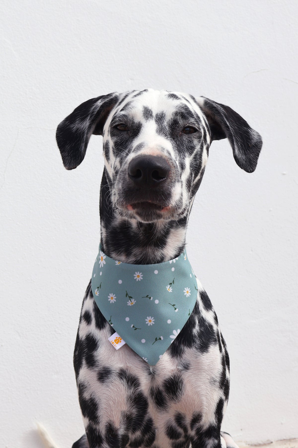 Bandana - Zara
