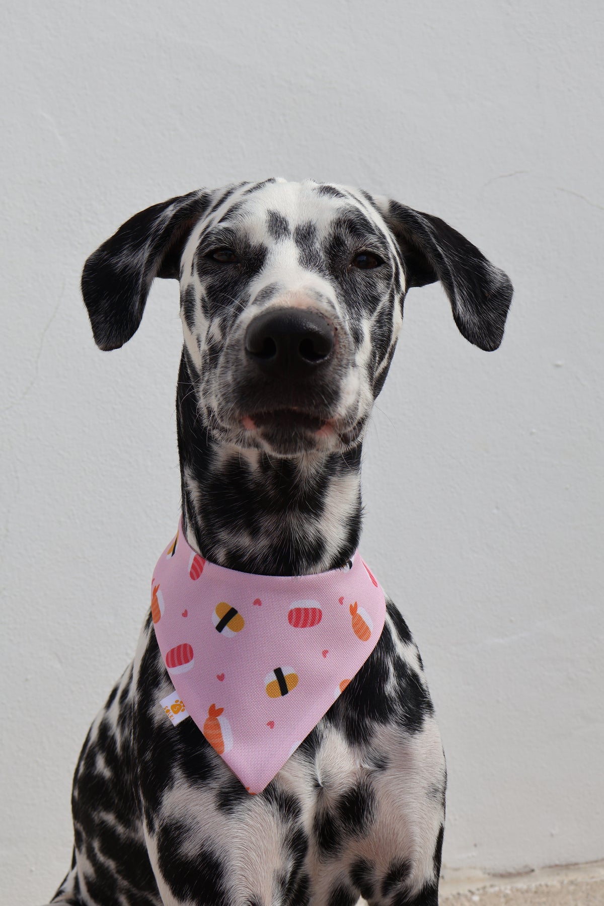 Bandana - Sushi