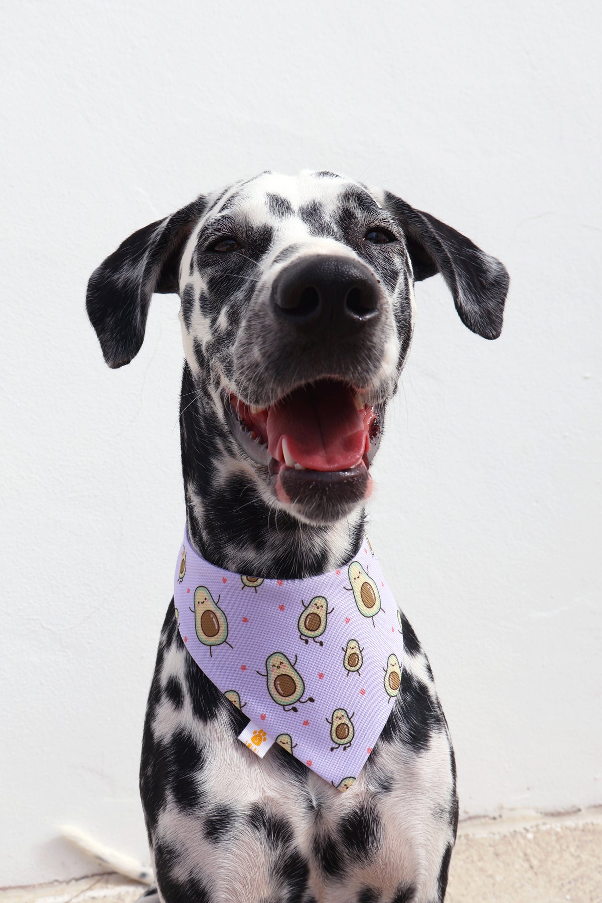 Bandana