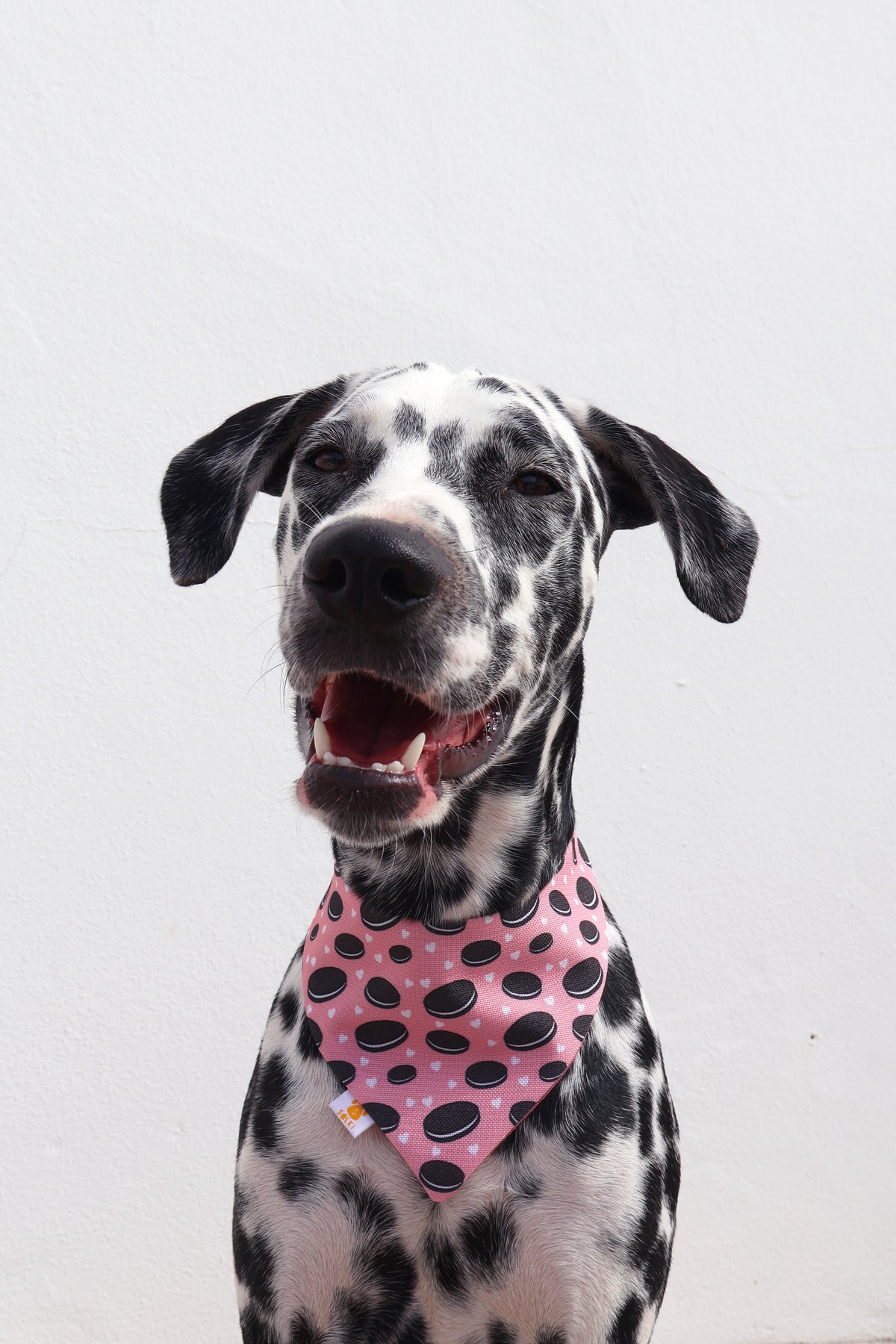 Bandana - Oreo