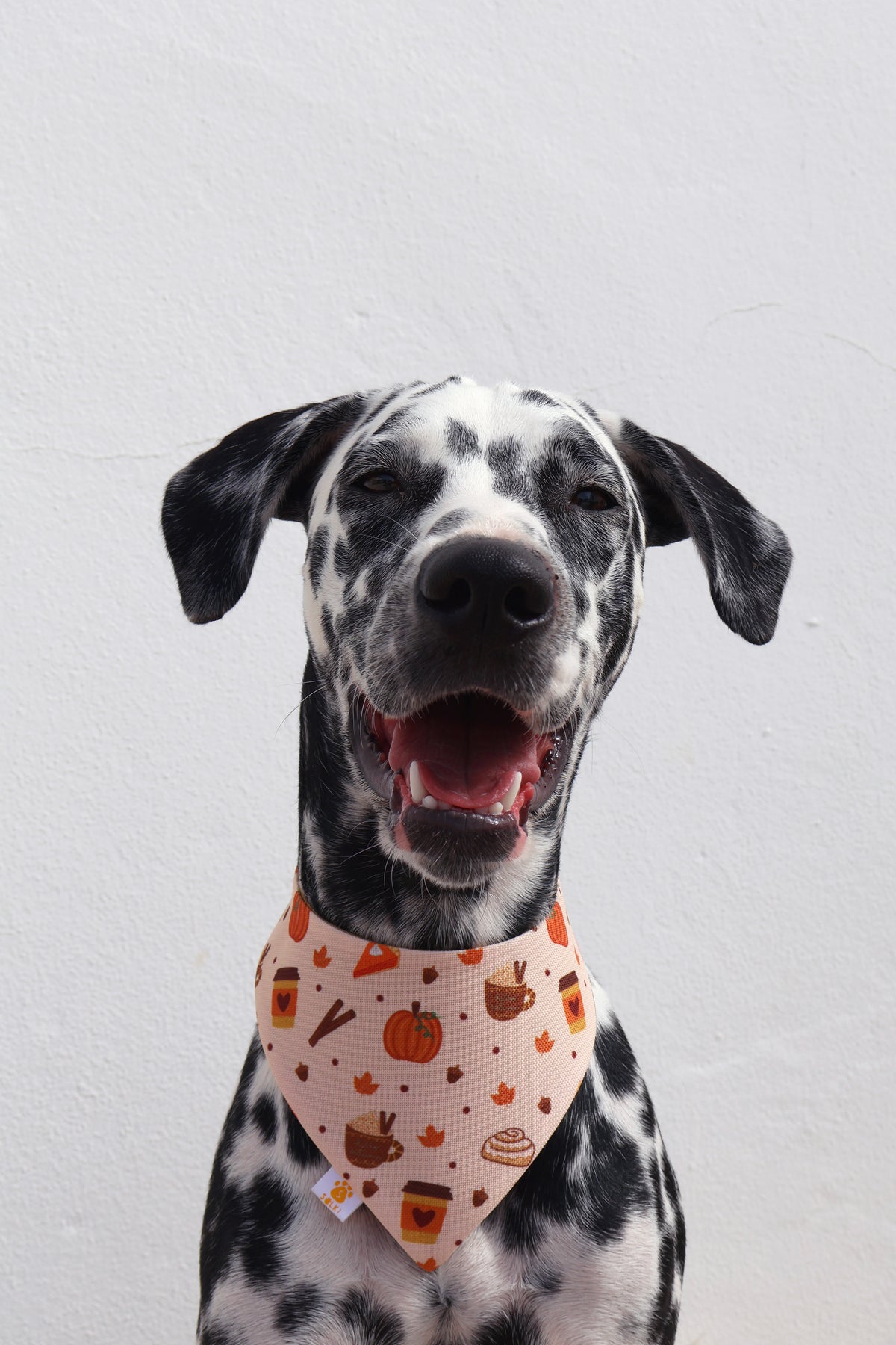 Bandana - Pumpkin