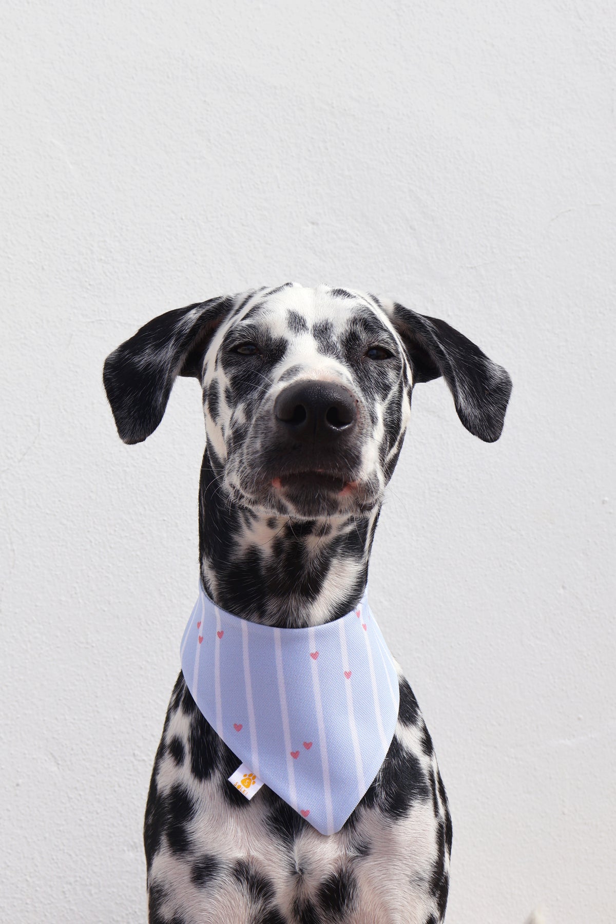 Bandana - Lover