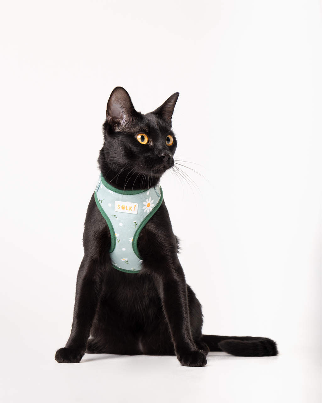 Peitoral Gato - Zara