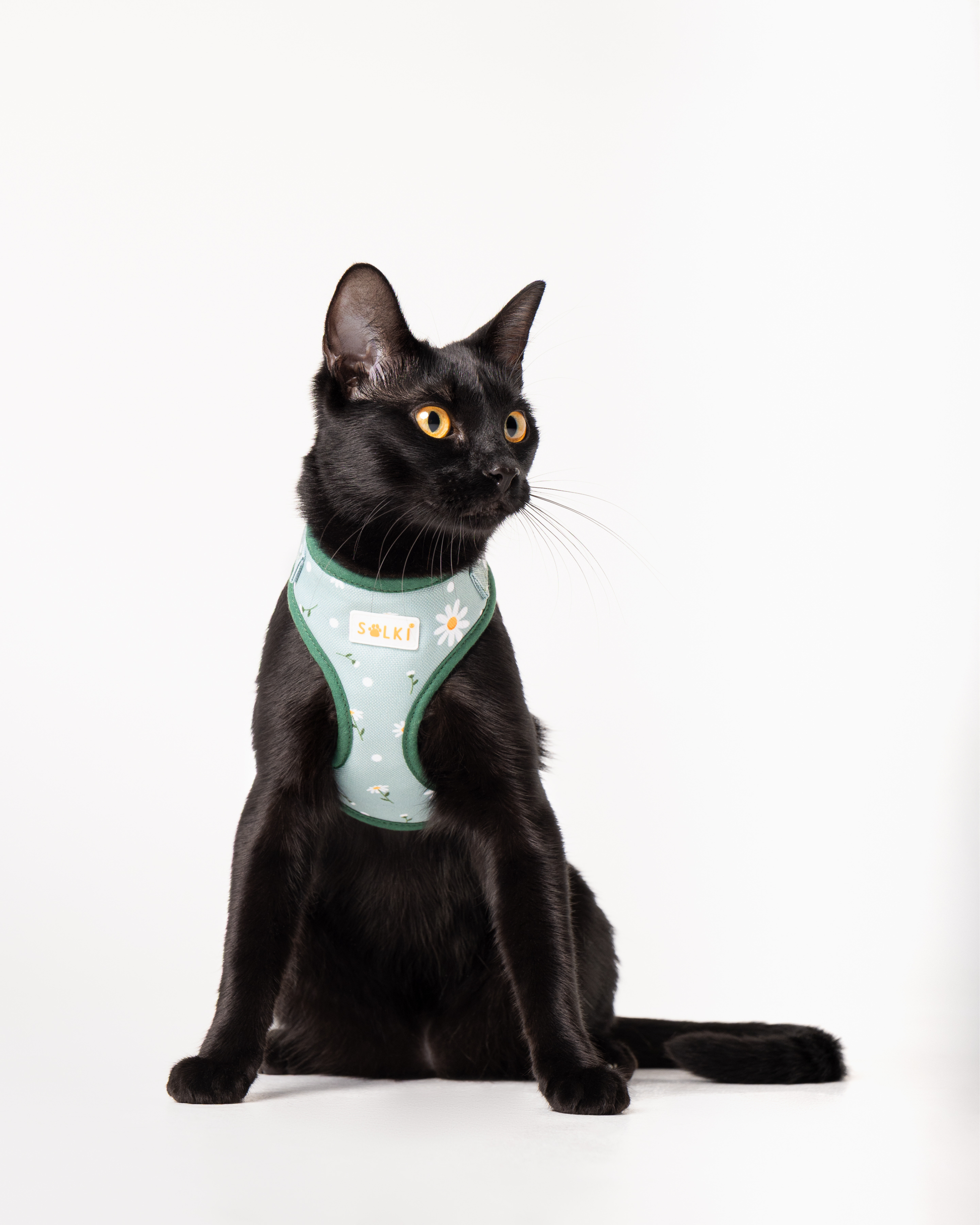 Peitoral Gato - Zara