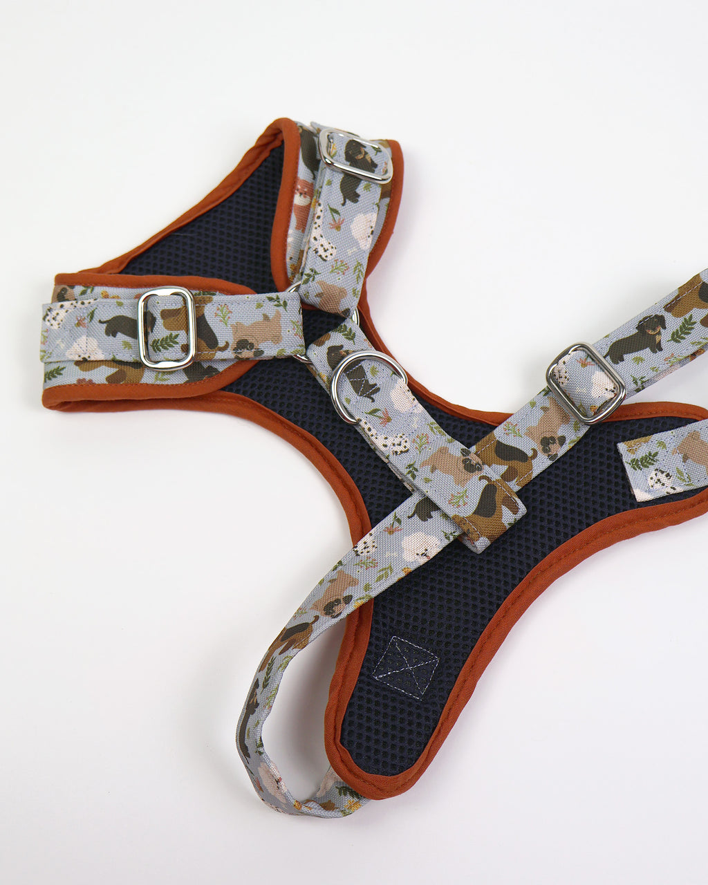 Harnesses