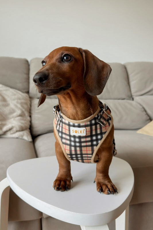 Harnesses
