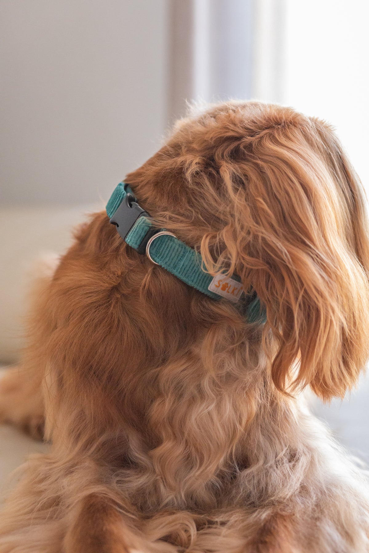 Collars