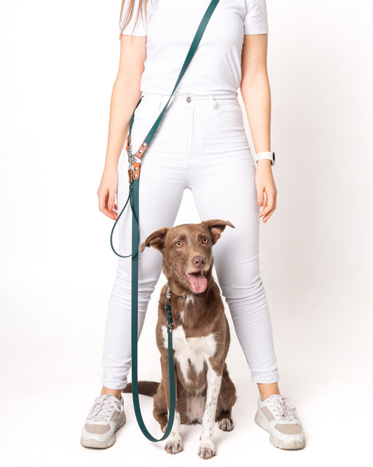 Multi Function Leash - Waterproof