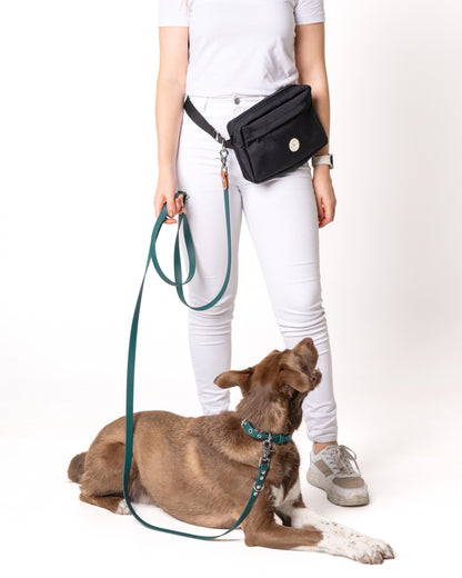Dog Walking - Bag